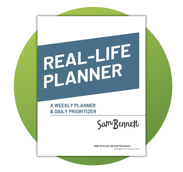 Real Life Planner Downloadable Sampler